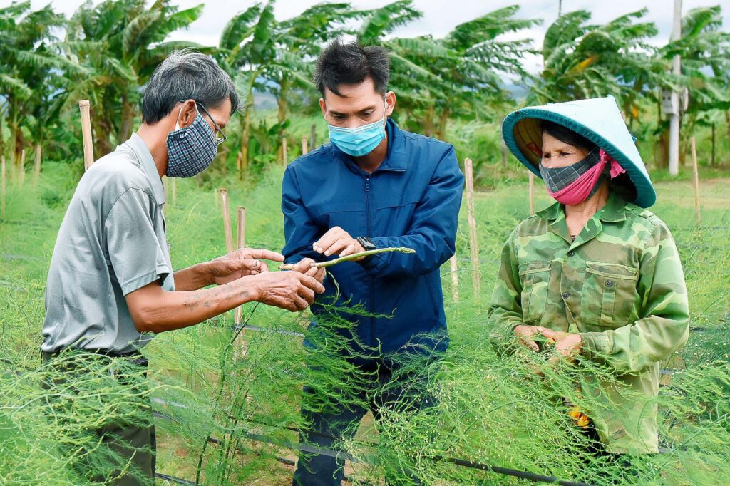 Báo Giá Cây Giống 2022 - Thế Giới Cây Công Trình 3 caygiongdongnai