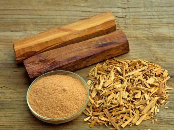cây đàn hương trắng ấn độ